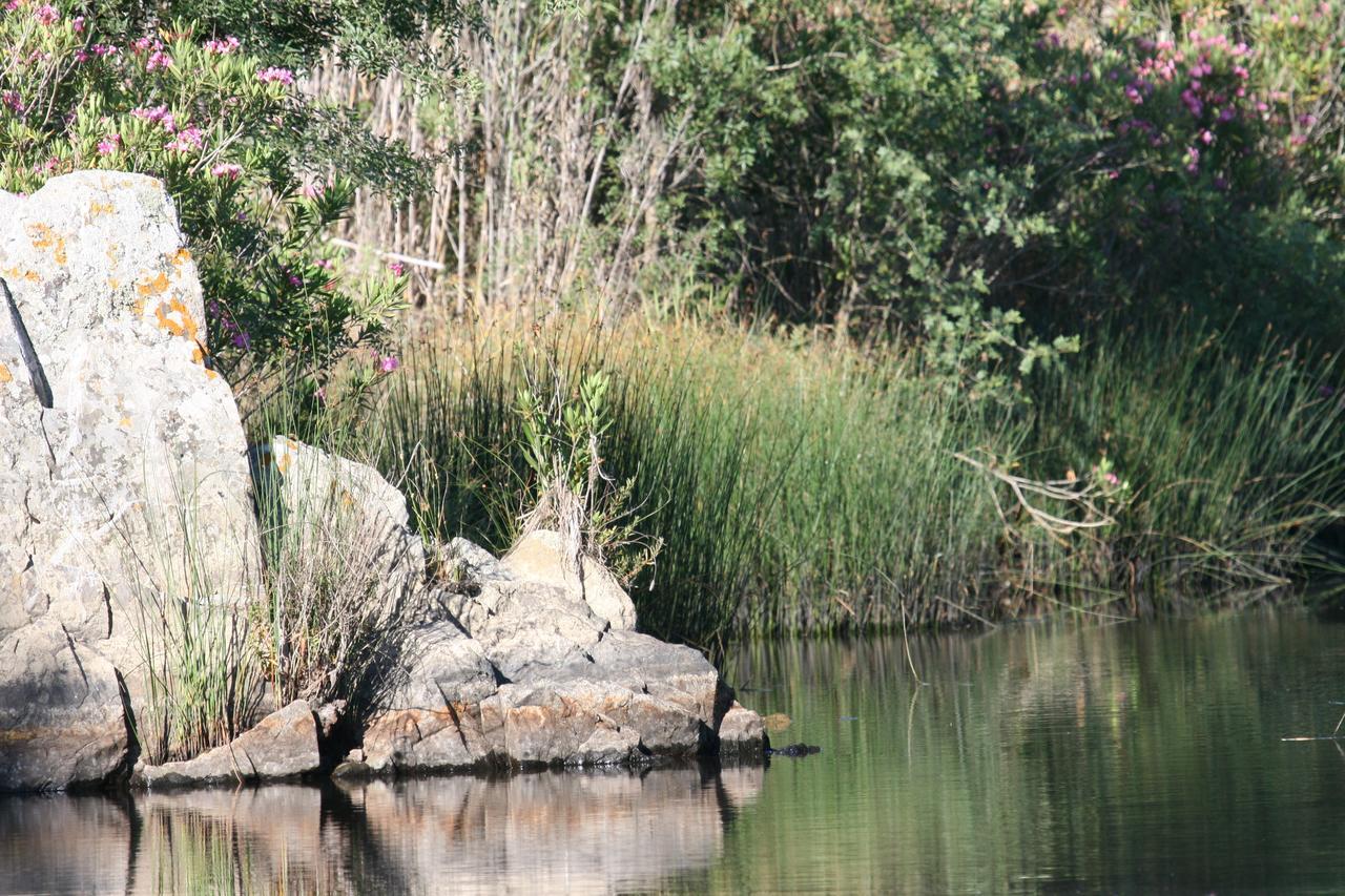 Monte Da Aparica Konuk evi Galeguinha Grande Dış mekan fotoğraf